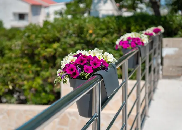 Apartmani Andreja