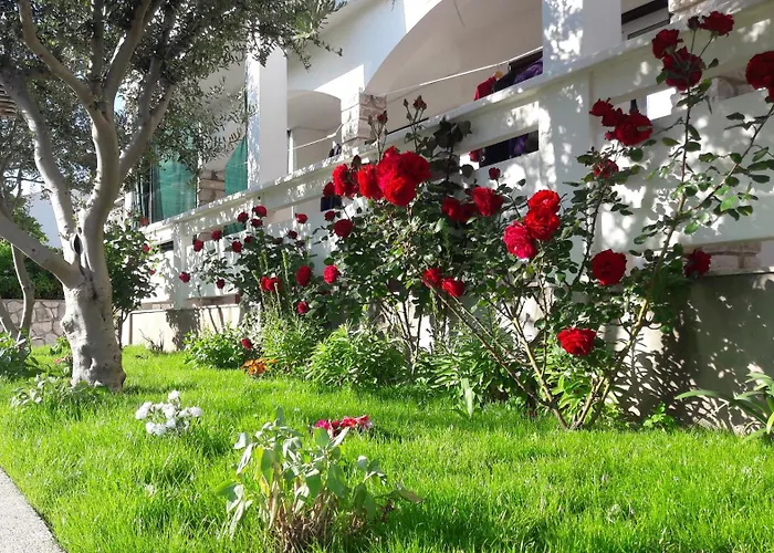 Apartmani Andreja