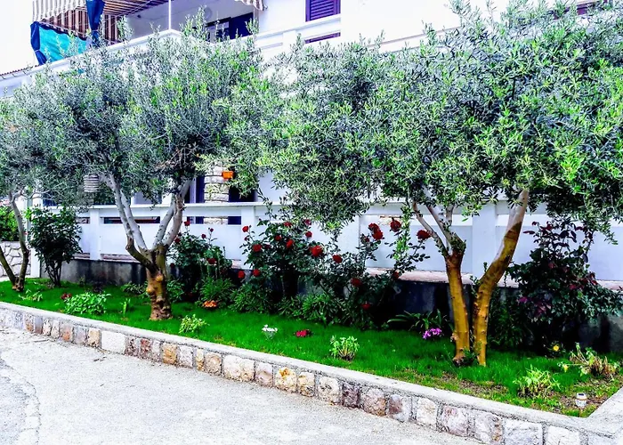 Apartmani Andreja