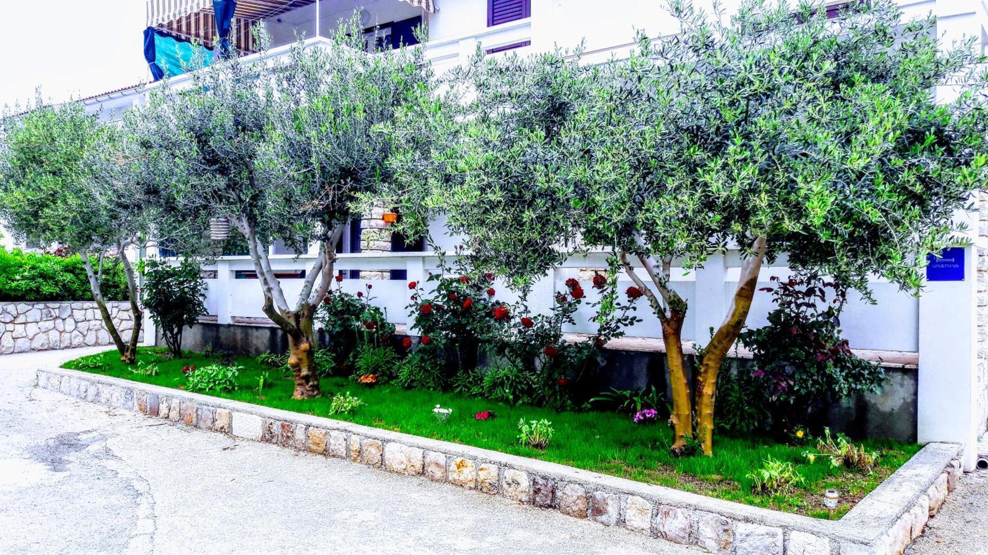 Andreja Apartman *